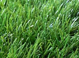Искусственная трава RP-Grass Prestige (Франция)