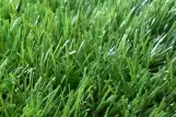 Искусственная трава RP-Grass Prestige (Франция)